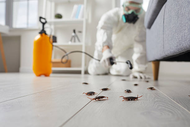 Commercial Rodent Management in Conley